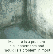 Moisture is a problem in all basements and mould is a problem in most